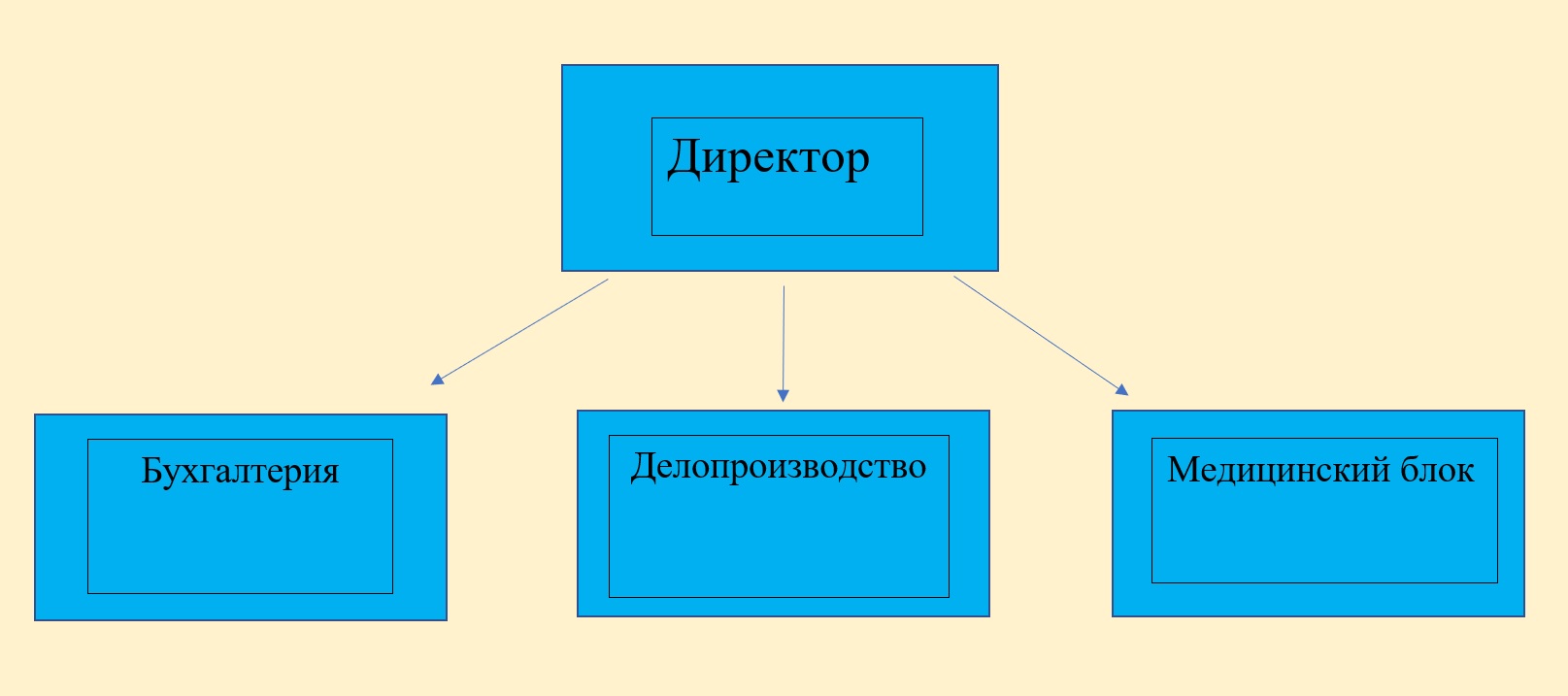 Структура организации